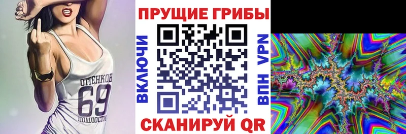Галлюциногенные грибы мицелий  Купить закладки  Черкесск 